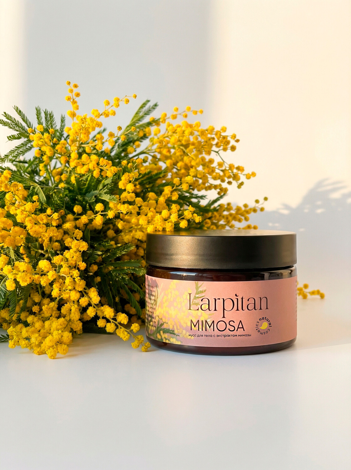 Бокс МИМОЗА