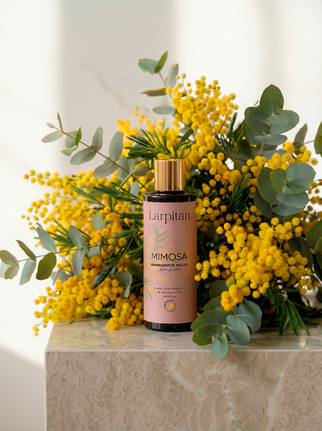 Бокс МИМОЗА