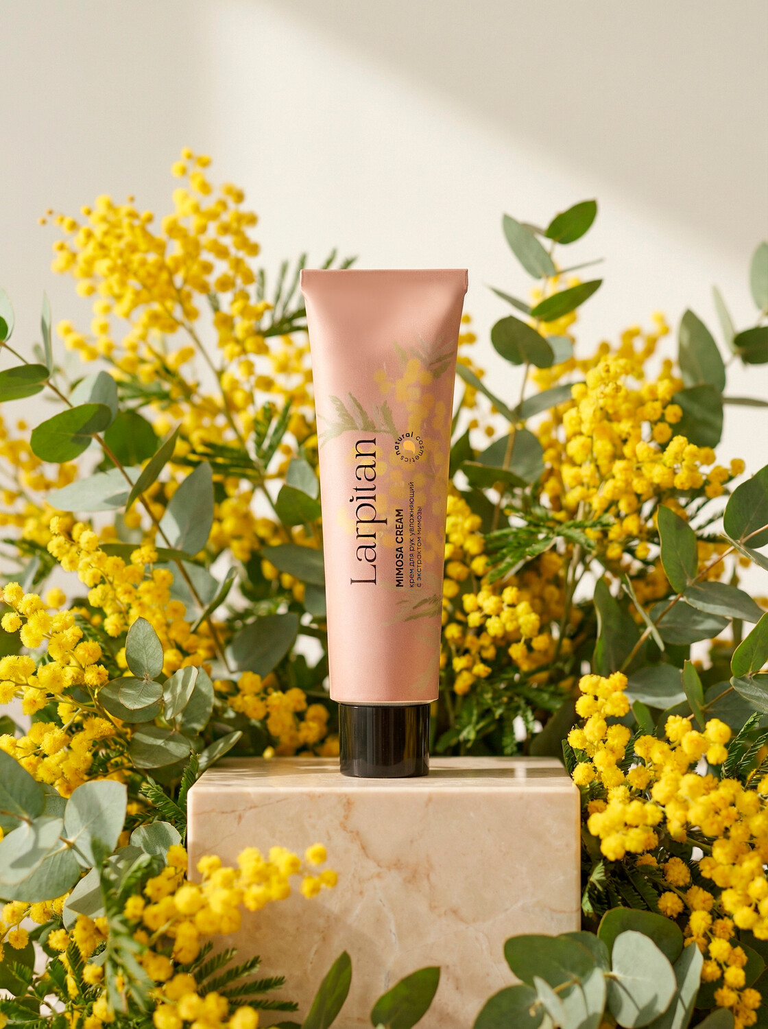 Бокс МИМОЗА